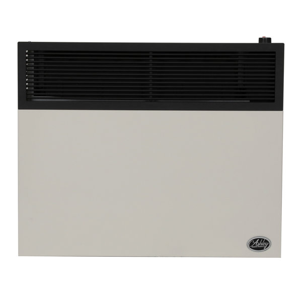 Ashley Hearth 25,000 BTU Direct Vent Convection Wall Mounted Heater